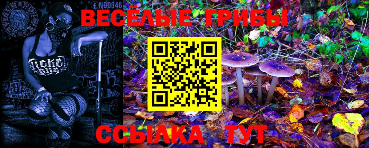 Псилоцибиновые грибы GOLDEN TEACHER Саратов