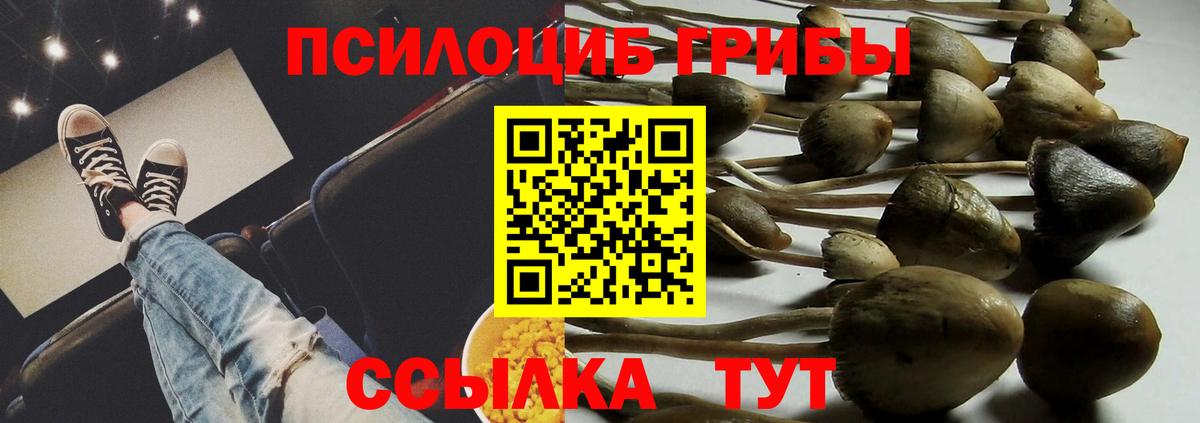 Саратов  наркота  Вход с VPN  Галлюциногенные грибы мухоморы 